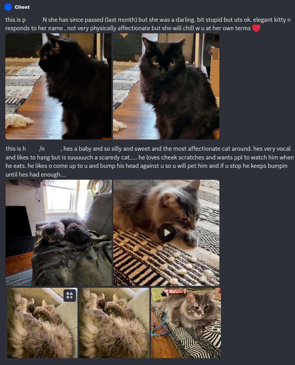 Clear photos are given with clear descriptions attached.